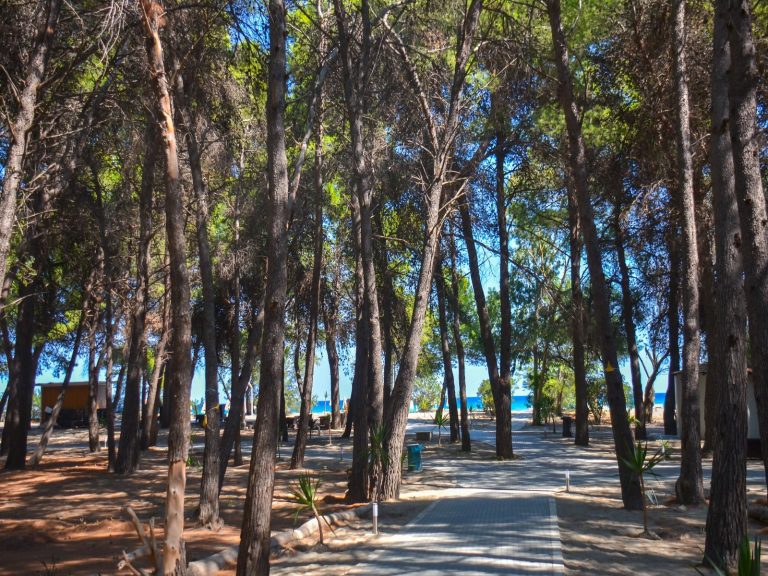 club nature village calabria_11